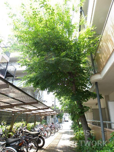 部屋画像13