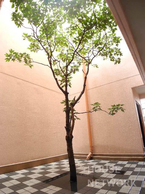 部屋画像23
