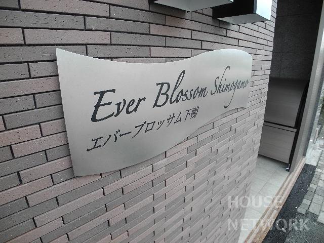部屋画像10