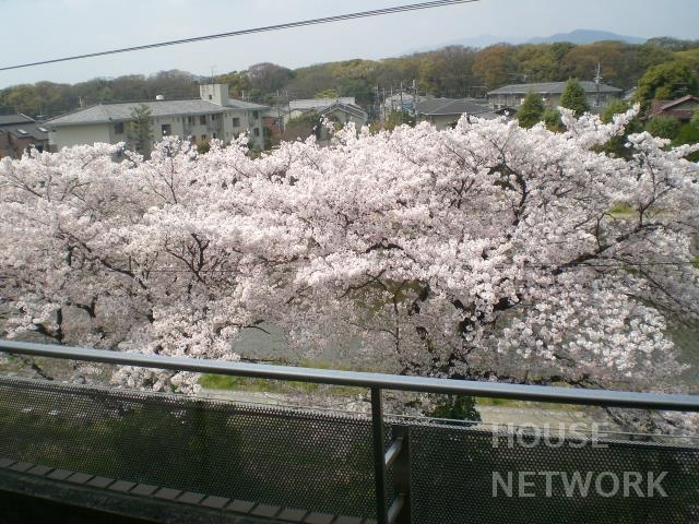 部屋画像8