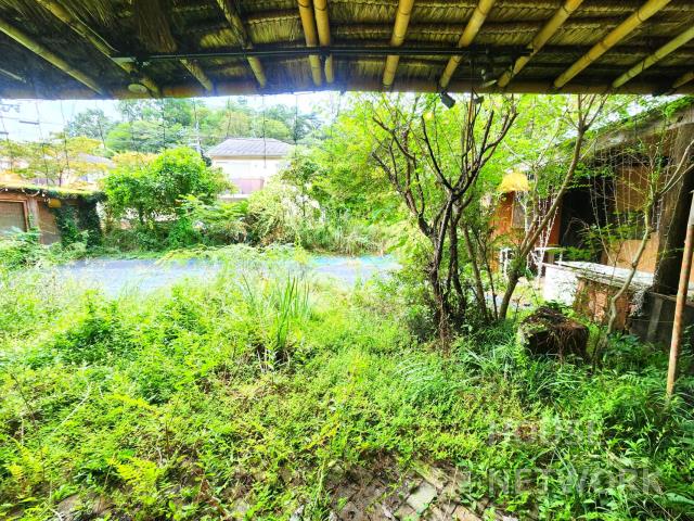 部屋画像3