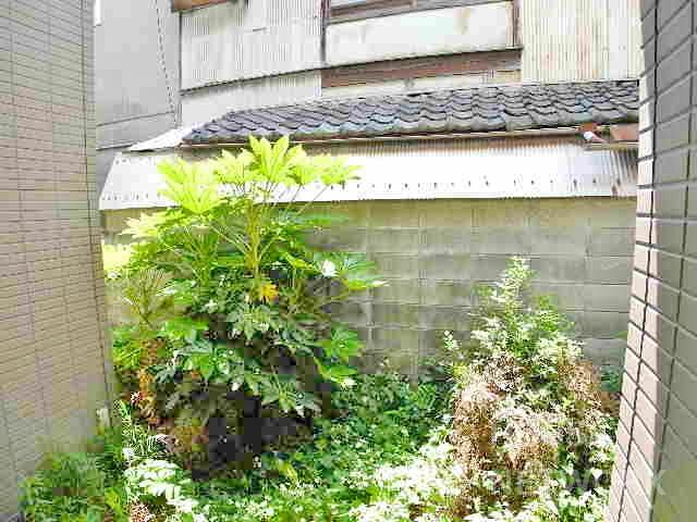 部屋画像16