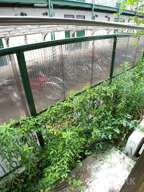 部屋画像18